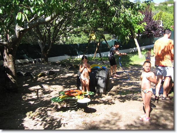 Diapositiva siguiente